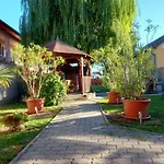 Korzo