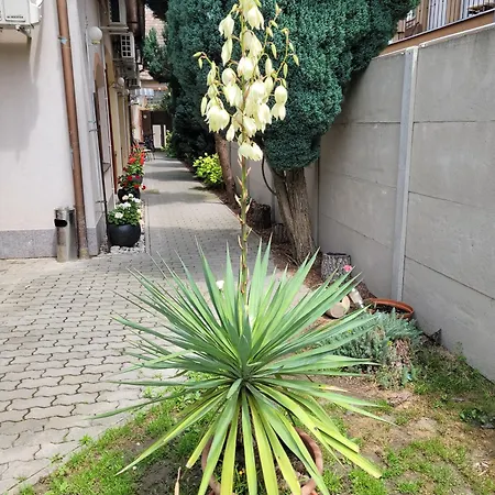 Vendégház Korzo Štúrovo