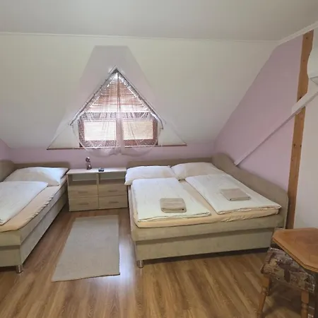 Guest house Korzo Sturovo